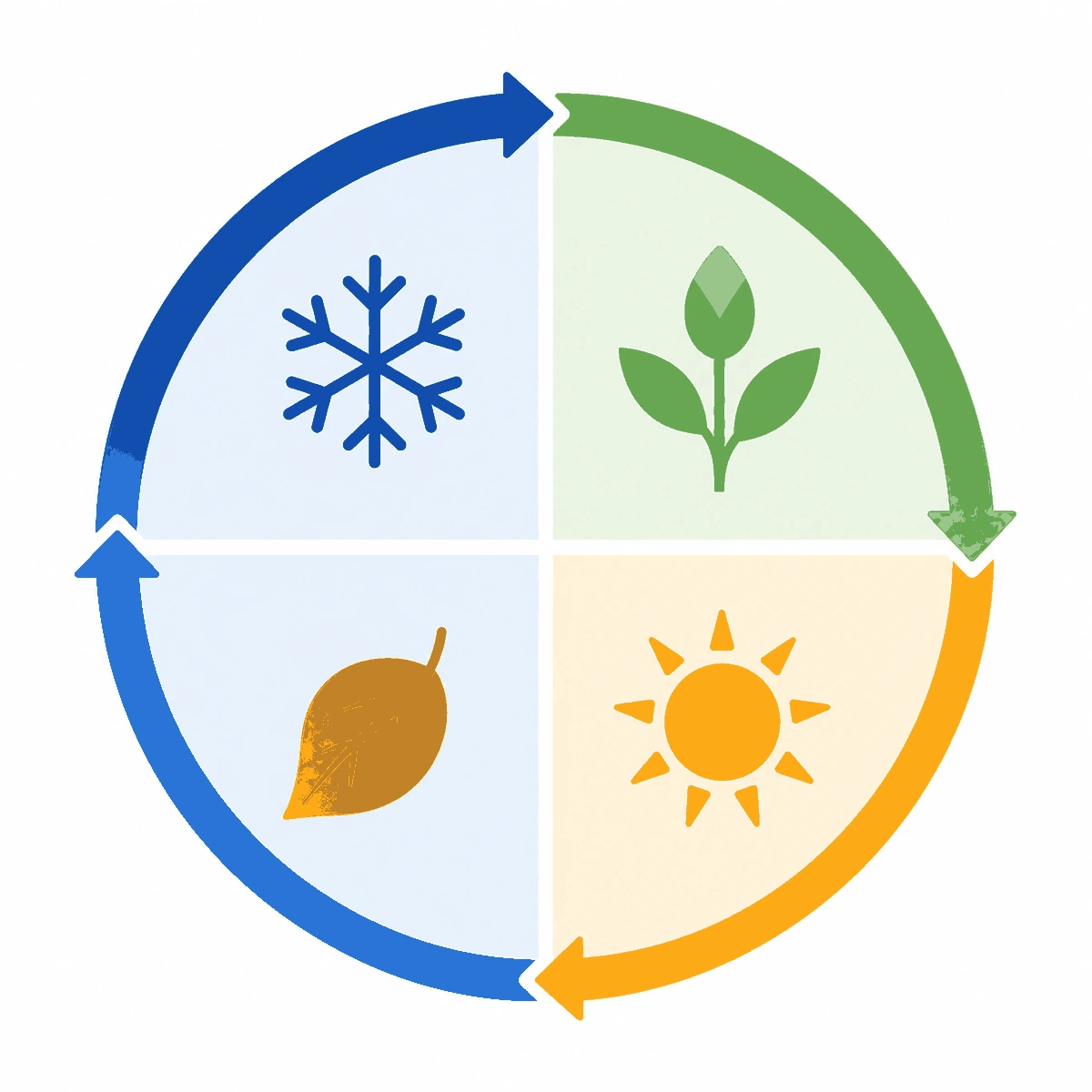 Diagram of the four seasons arranged in a cycle, showing how pest activity rises and falls through the year