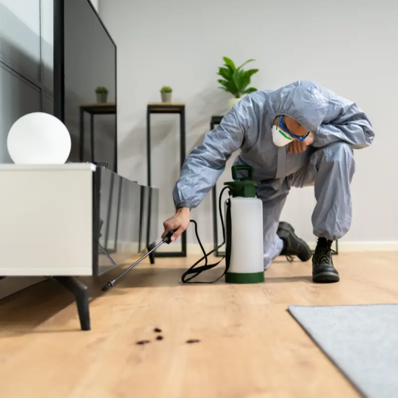 Residential Pest Control Services in Ruby, NY